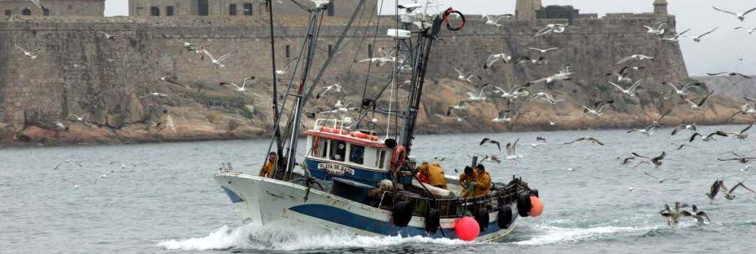 Barco pesquero