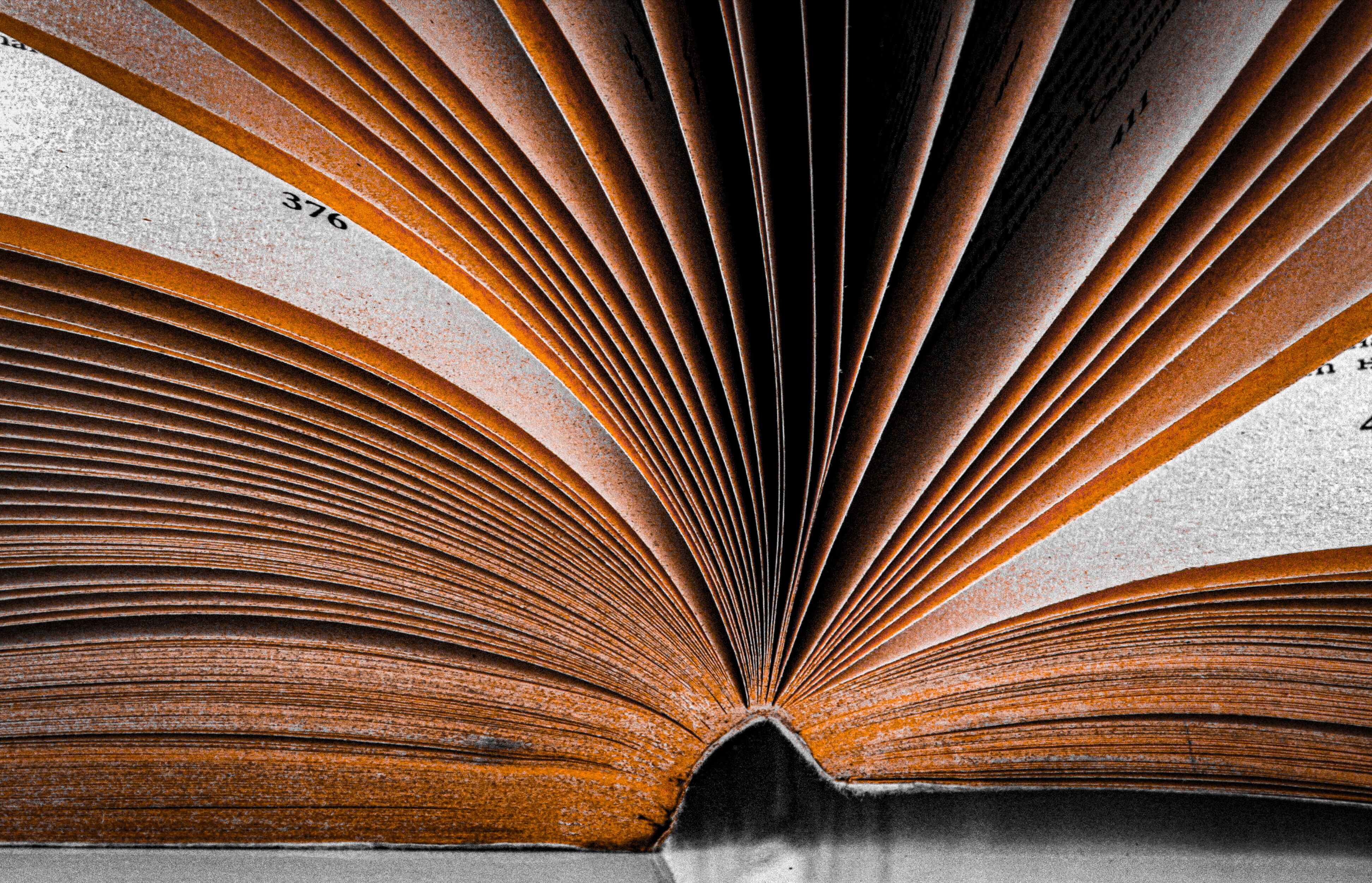 El escritor palentino Alfredo Baranda gana el VIII Premio de narrativa Carmen Martín Gaite