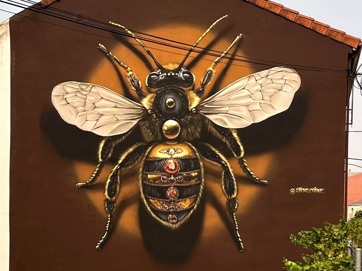 El mural de un arandino, nominado a mejor mural del mundo del mes de agosto