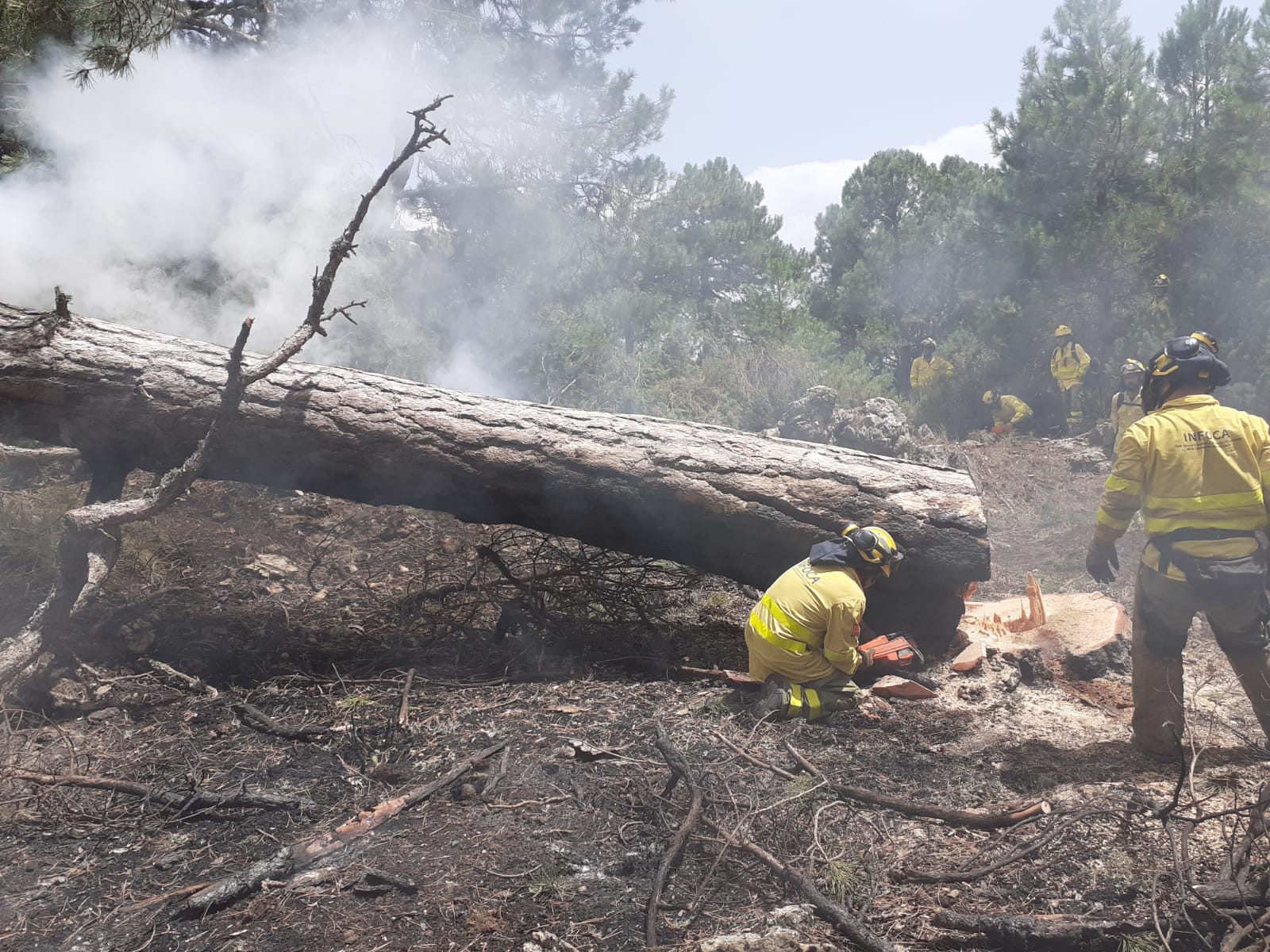 Bomberos sofocan el fuego durante un incendio forestal en Cazorla