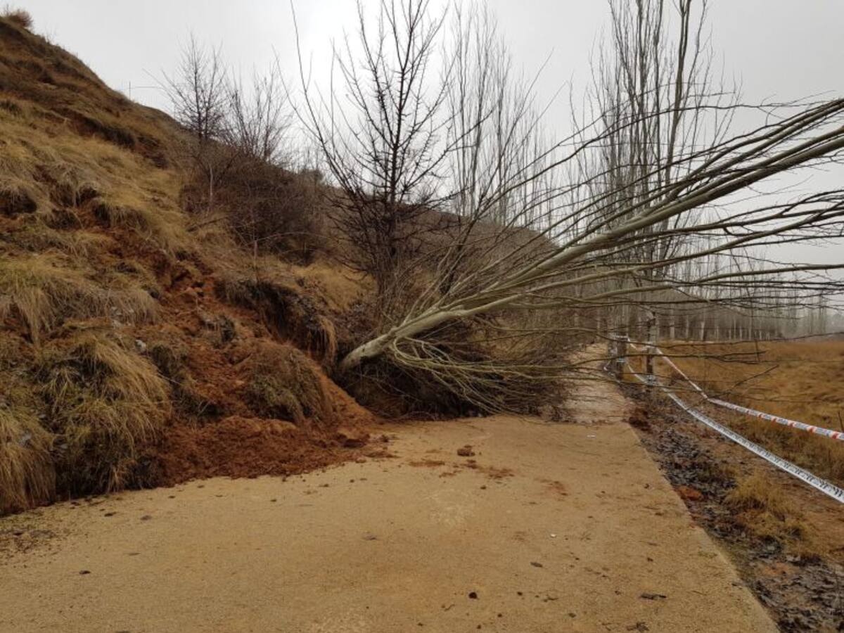 Desprendimiento de tierra sobre el anillo verde de Guadalajara
