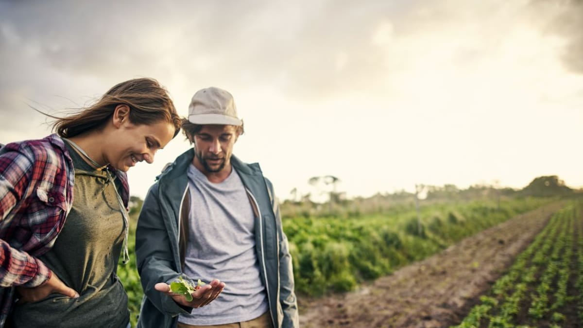 El "Erasmus agrario" de UPA llega también a la Región de Murcia