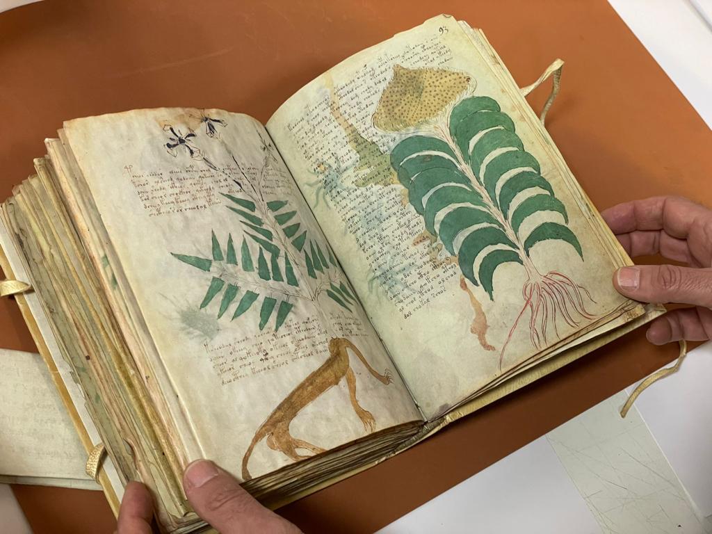 Manuscrito Voynich