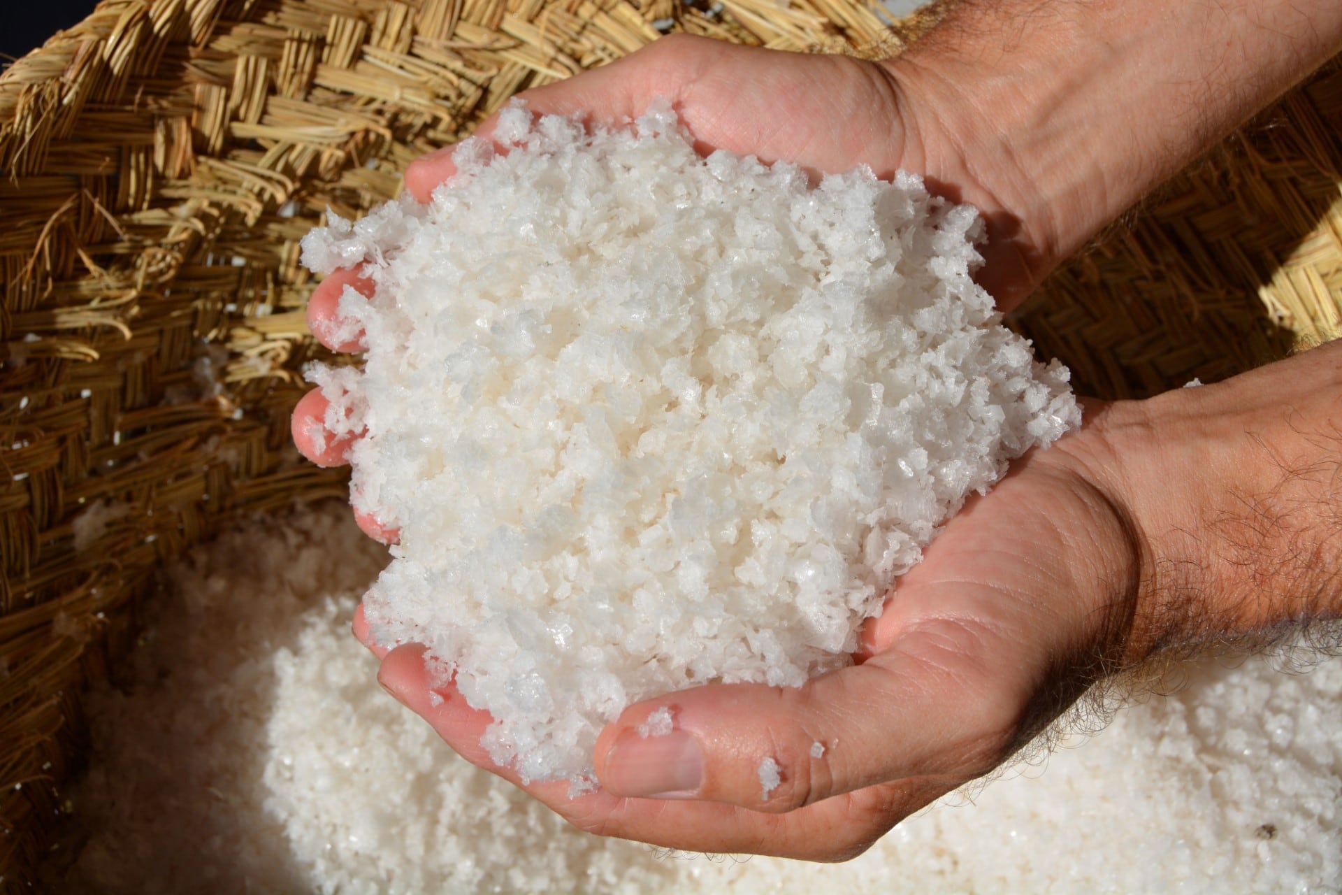 Primera cosecha de sal de las Salinas de Marchamalo