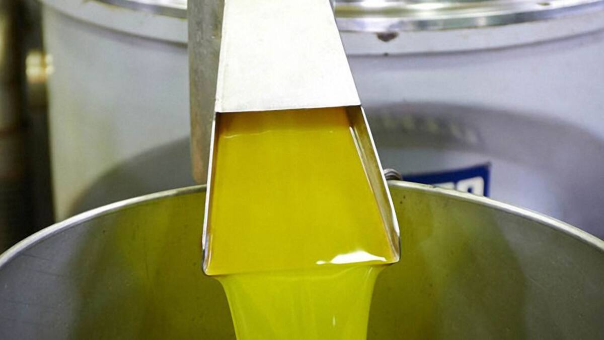 Javier Márquez anuncia que solicitarán una campaña de promoción del aceite de oliva al gobierno de España