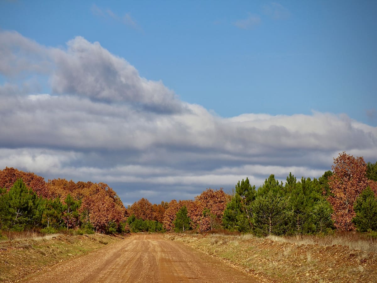 Postales de Palencia: la de la Cañada Oriental Leonesa