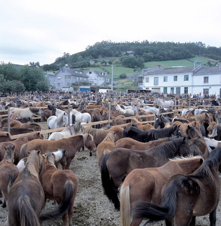 Festas As San Lucas de Mondoñedo