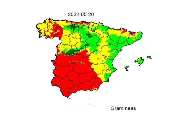 Niveles de polen de gramíneas según la REA