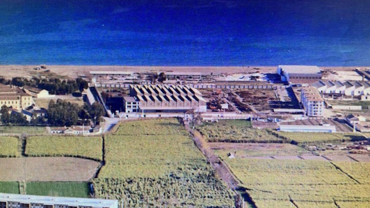 "Málaga será un referente europeo en técnicas del espectáculo" Domingo Sánchez, CEO Producciones Merlín