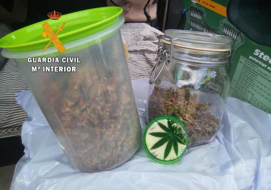 La marihuana decomisada al conductor del vehículo