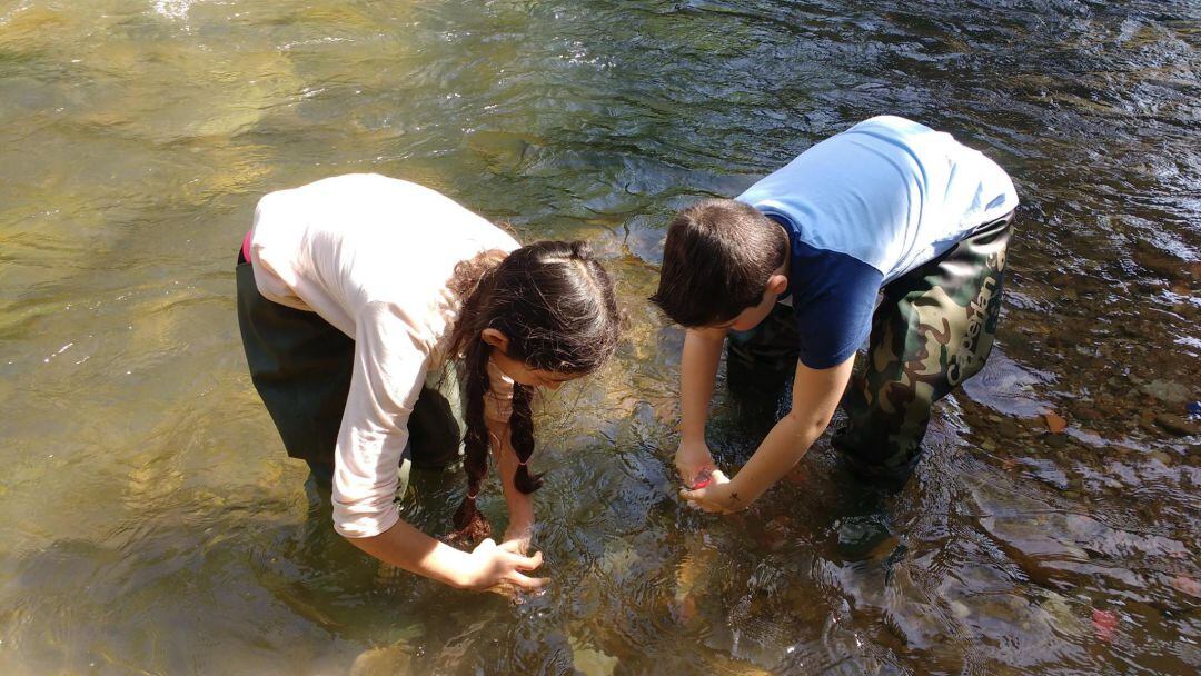 Escolares inspeccionando uno de los ríos de Cantabria.