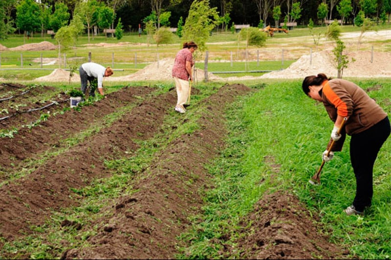 Tres mujeres trabajando en la agroaldea de Hondarribia.