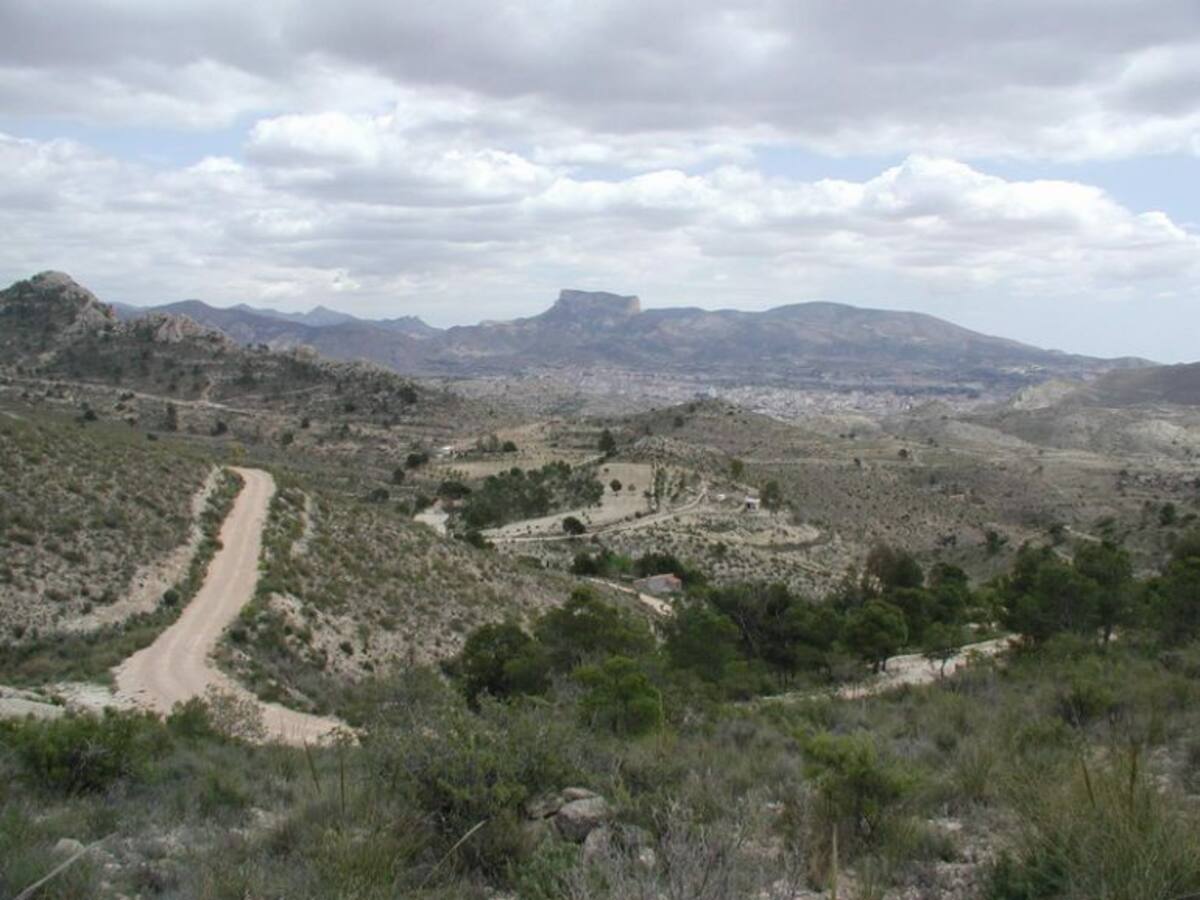 Cazadores eldenses piden al ayuntamiento terreno municipal para ampliar su actividad