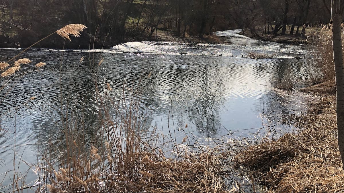 Enrique Nogués, concejal de Medio Ambiente de Alcalá de Henares
