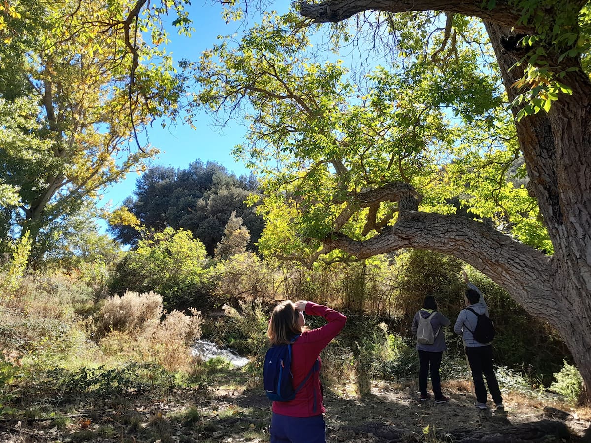 Castilla-La Mancha oferta más de 40 actividades gratuitas en sus parques naturales durante la primavera