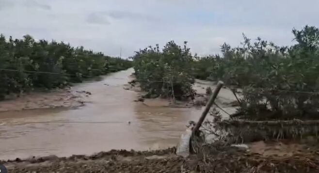 Daños en los cultivos de San Javier