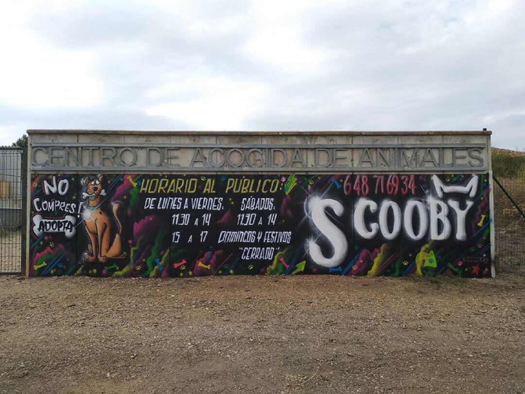 La cabra atrapada mientras deambulaba por Palencia ha sido llevada a las instalaciones de la Protectora de Palencia