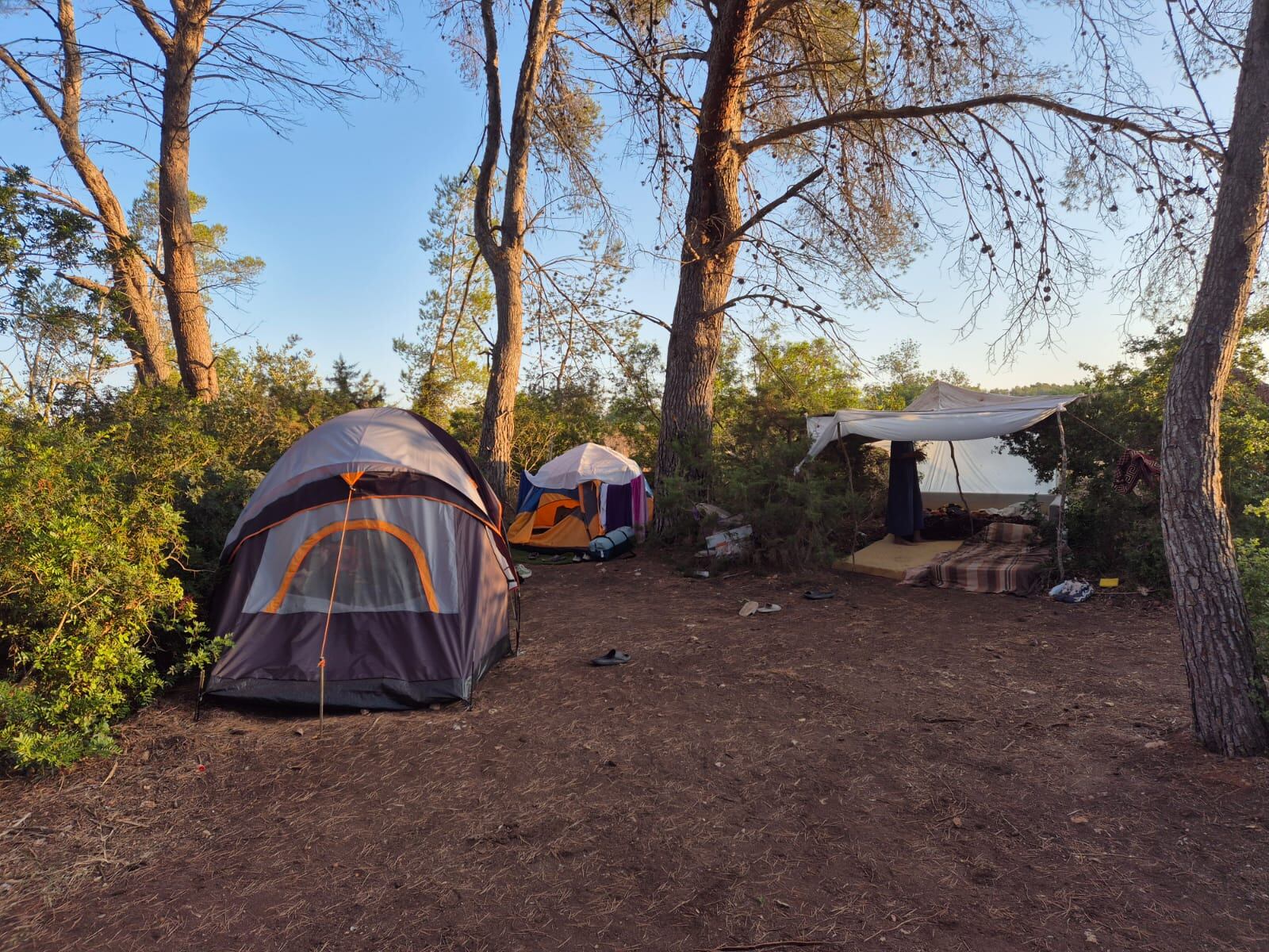 Imagen de algunos de los residuos retirados