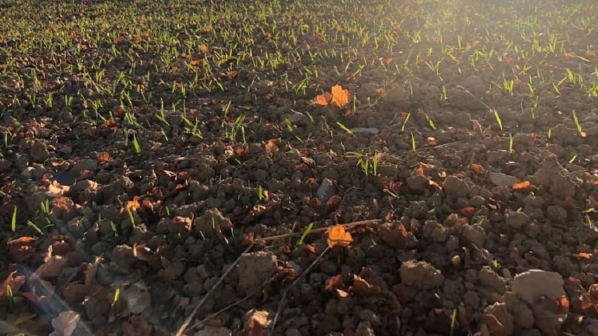 La primera llamada del día con Sandra Aguirre, gerente de Agrifood