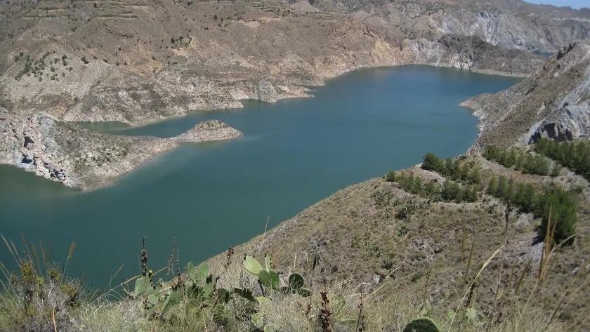 Panatano de Cuevas del Almanzora.