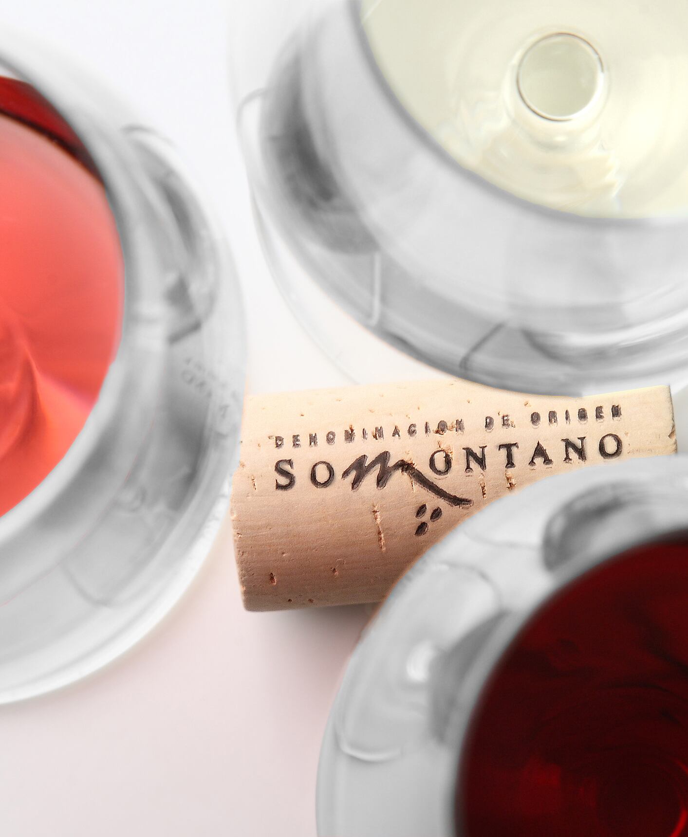 Los vinos del Somontano destacan en el informe "Aragón 2024.Top 100"