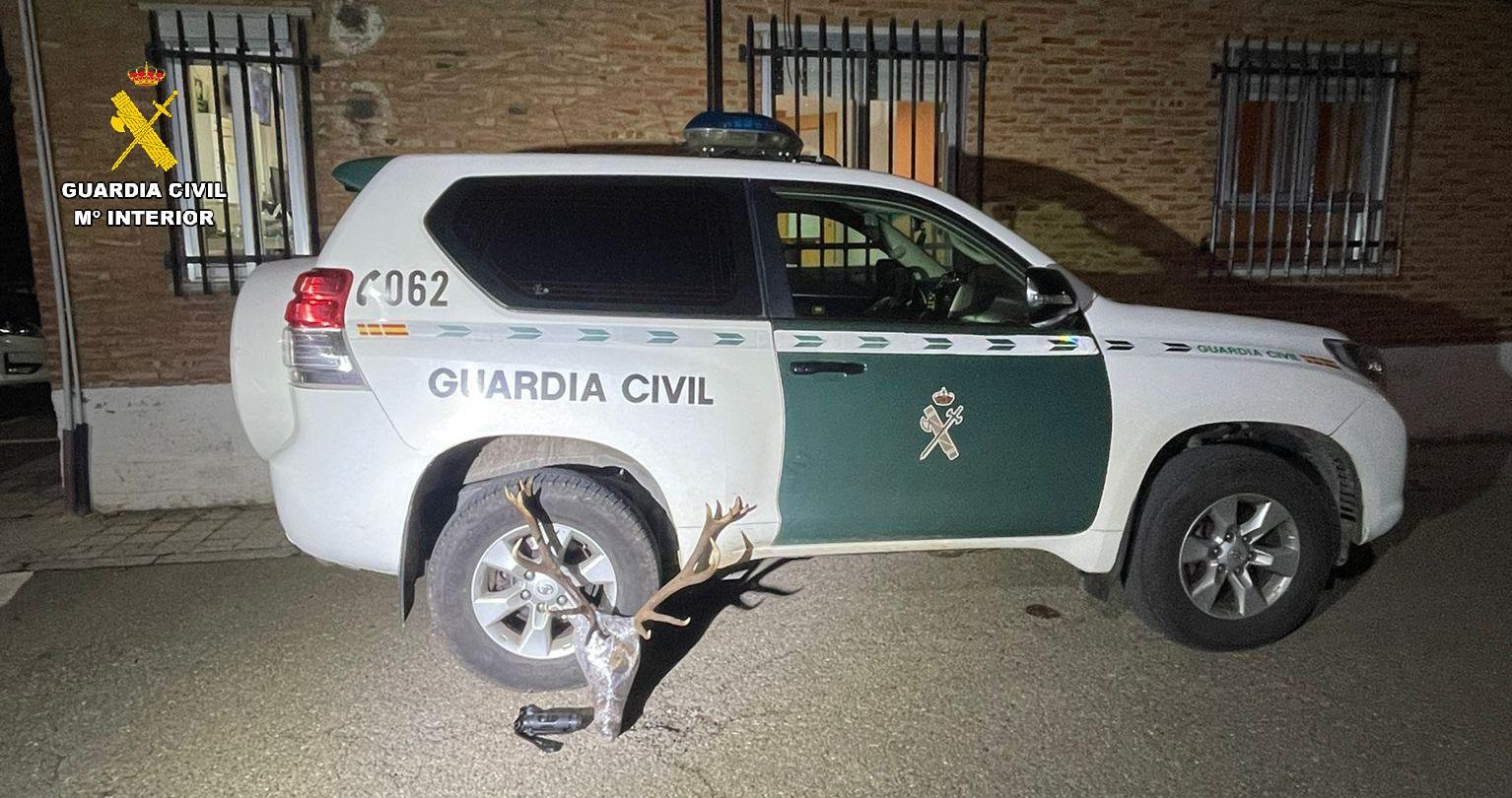 Encontrada una cabeza de venado sin precinto en el interior de un maletero