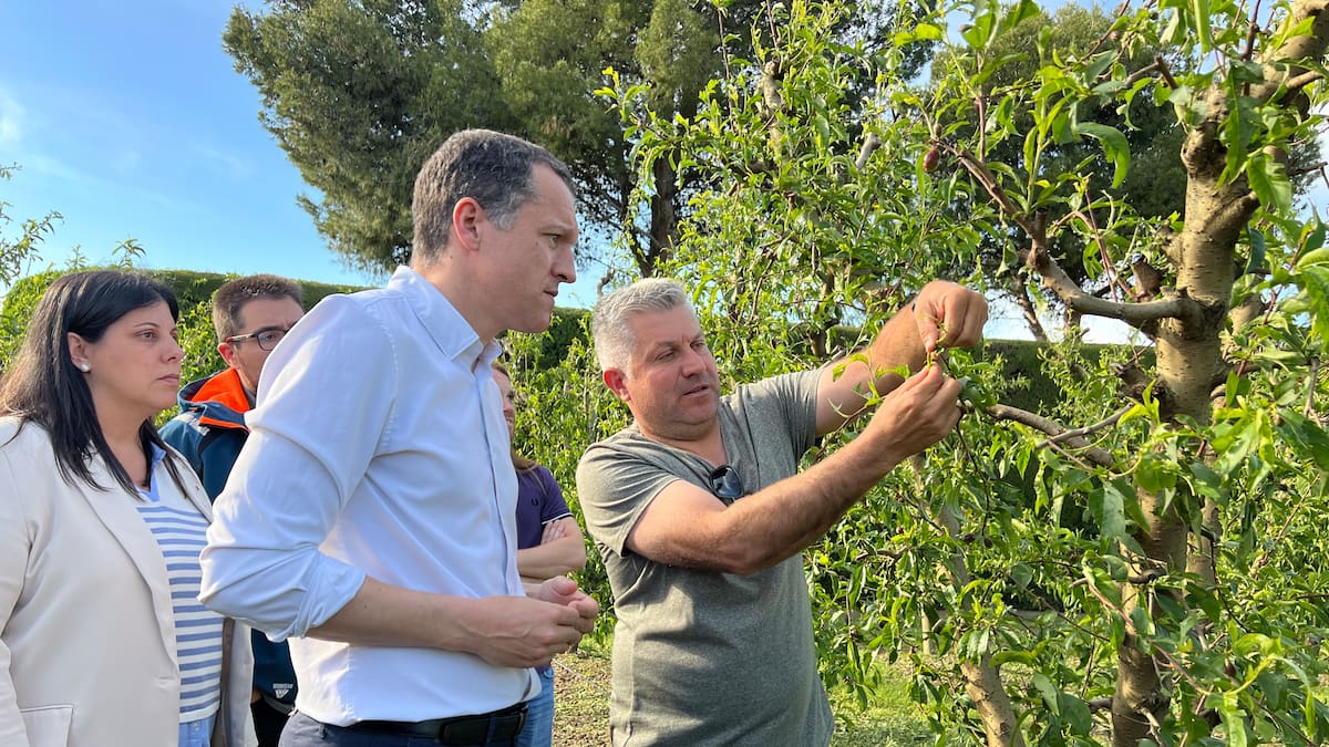 Ordeig assegura que farà "l'impossible" per compensar els danys "catastròfics" de la pedregada a la plana de Lleida