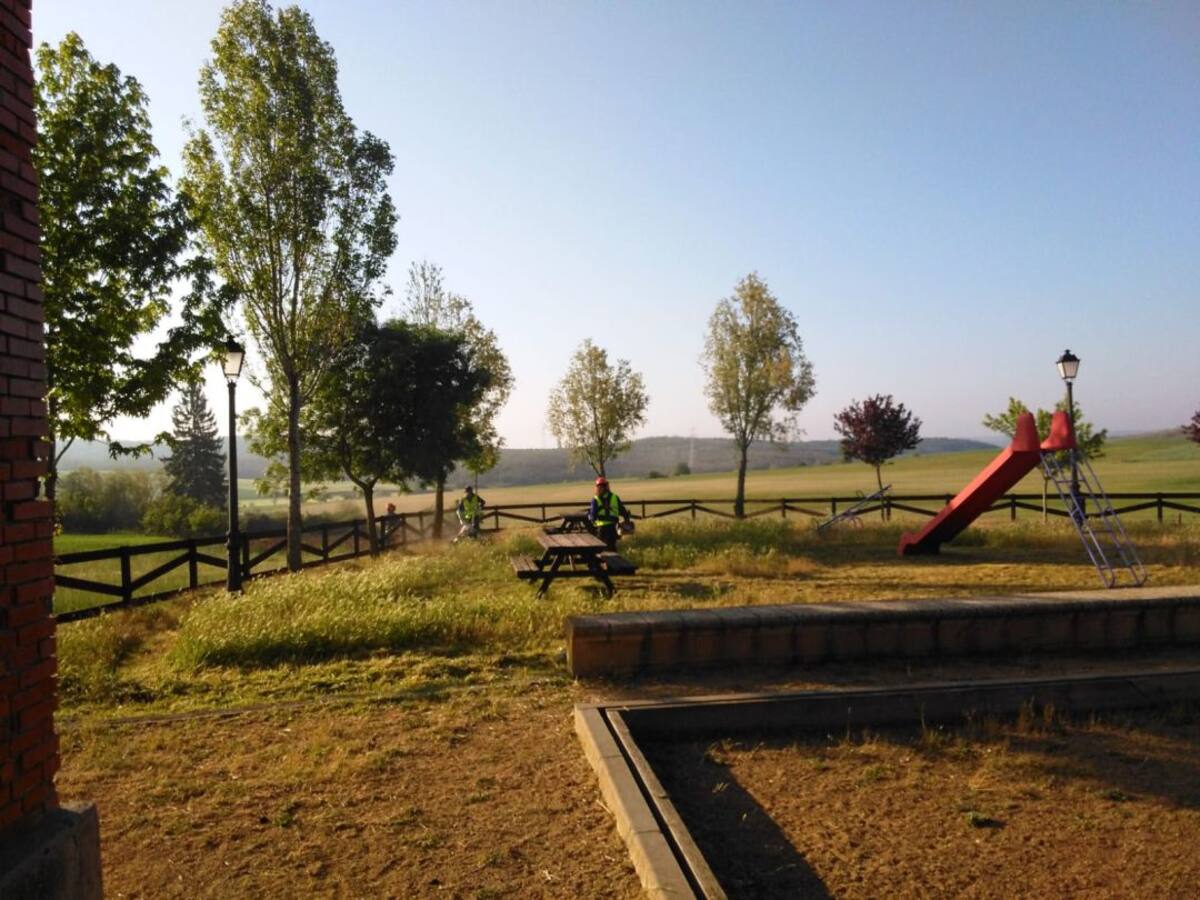 El Plan de Empleo Forestal Local 2020 llega a su ecuador con 250 actuaciones en 135 localidades