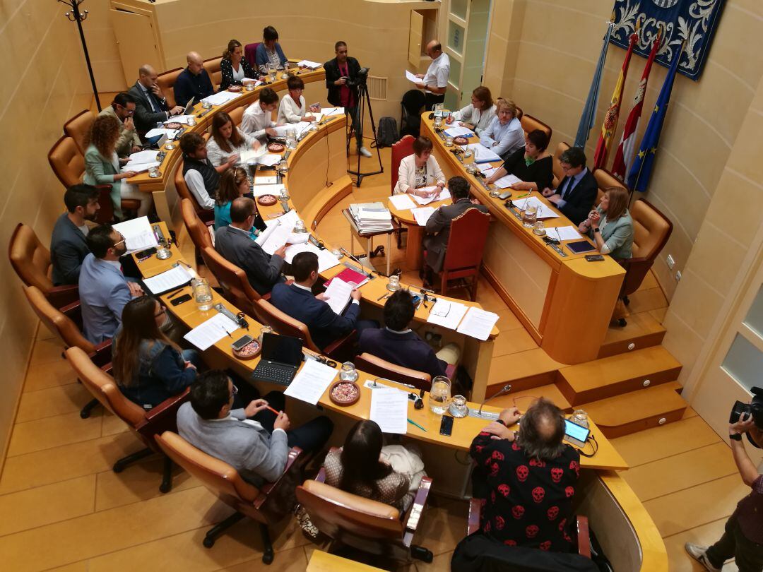 El pleno municipal del viernes manifestará su alianza cpor la emergencia climática