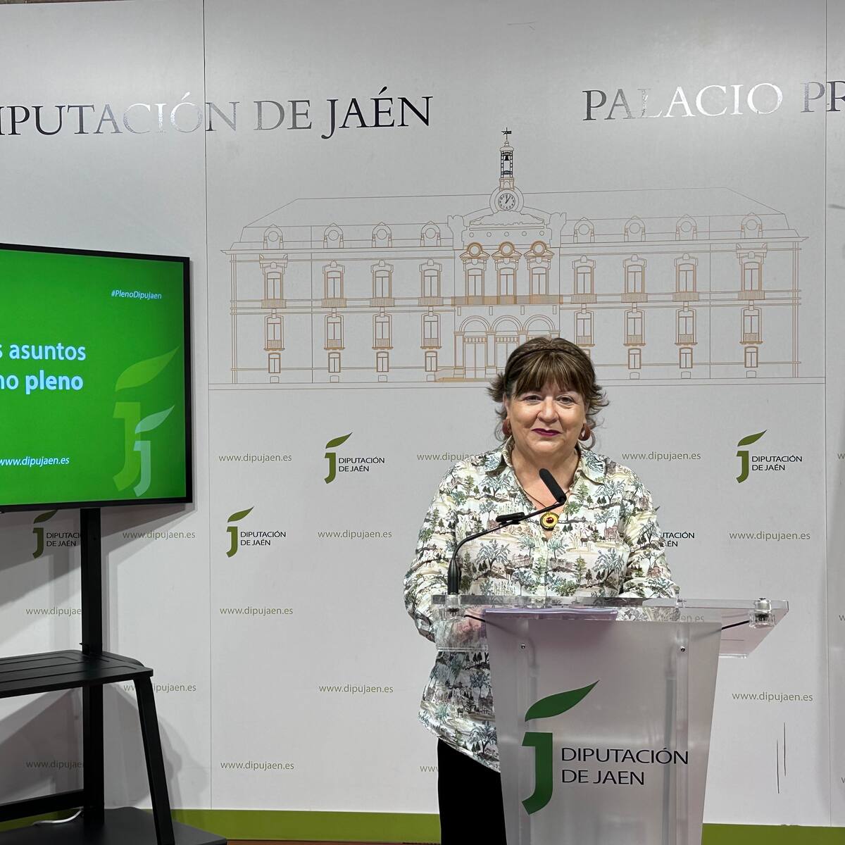 La Diputación de Jaén solicitará un préstamo para evitar la subida del precio del agua por la mejora de infraestructuras