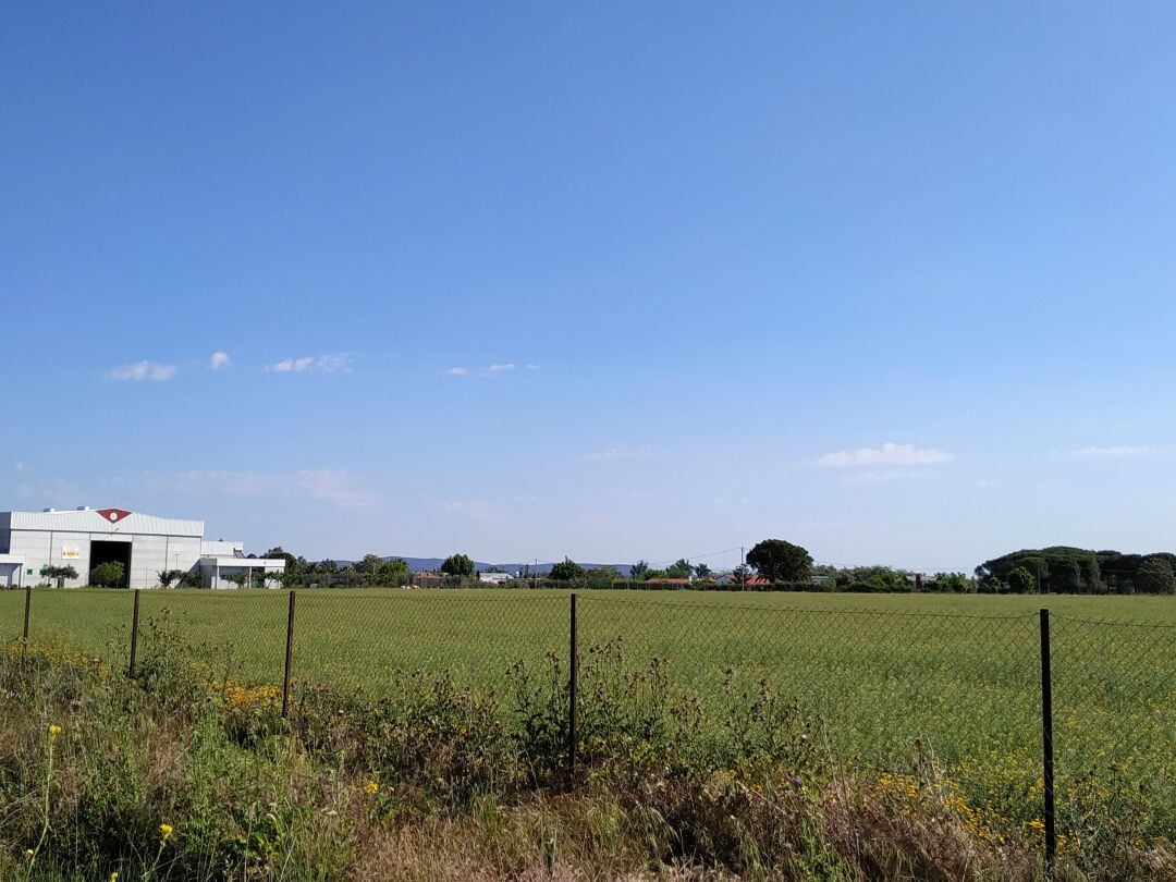 Terrenos en la Carretera de Miajadas donde irá el polígono