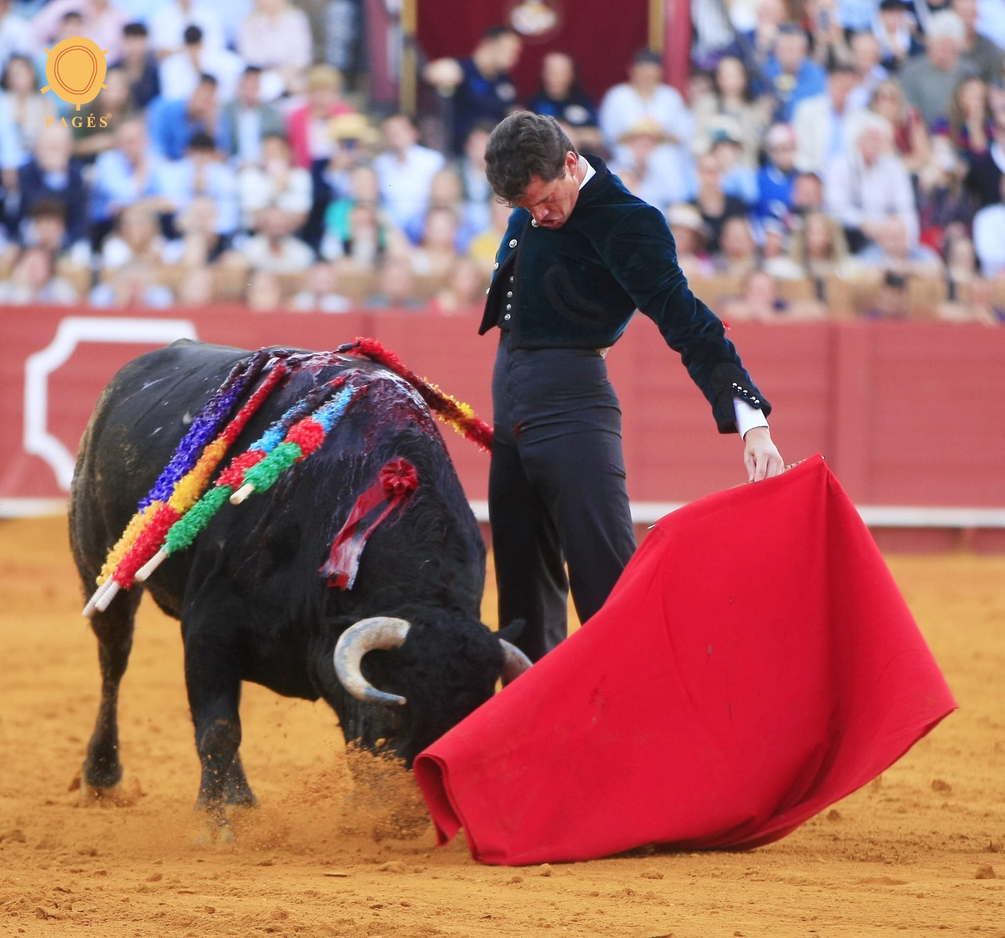 Daniel Luque ante el ejemplar de Zacarías Moreno