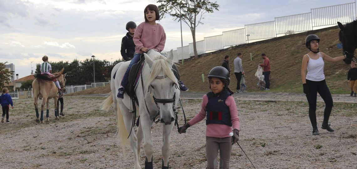 Actividades ecuestres en ferias de Tafalla