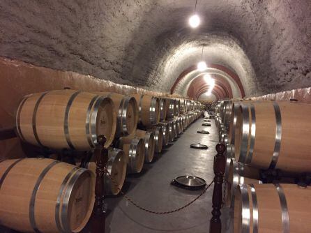 Interior de las bodegas subterráneas de Protos