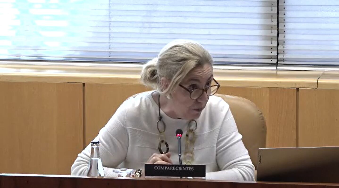 Silvia Valmaña, directora general de Infancia de la Comunidad de Madrid, en su comparecencia en la Comisión de Familia y Asuntos Sociales en la Asamblea de Madrid