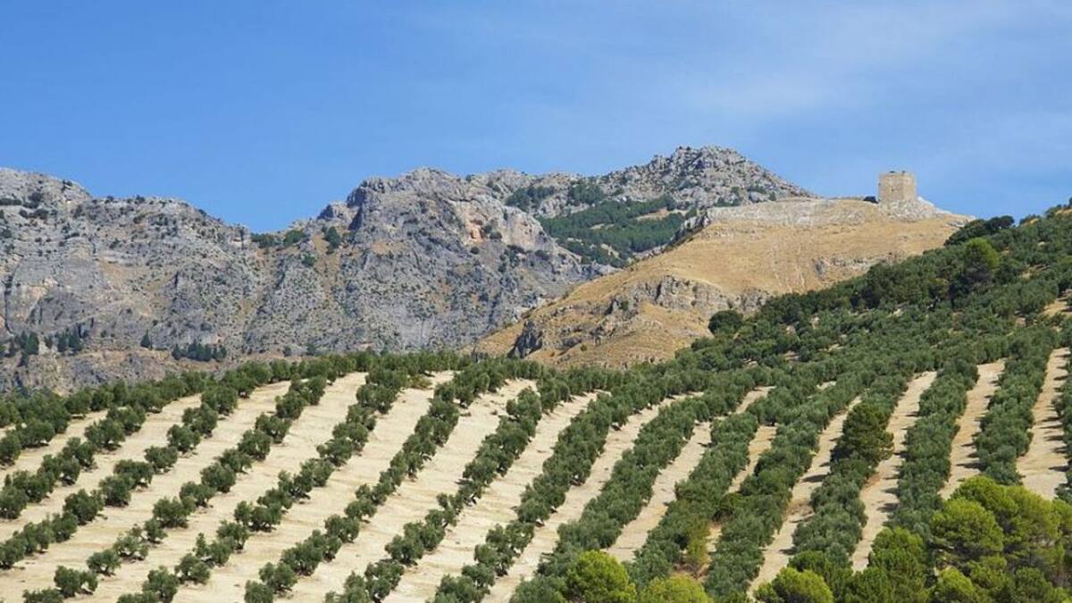 El PSOE anima al sector agrario a solicitar las ayudas de eficiencia energética