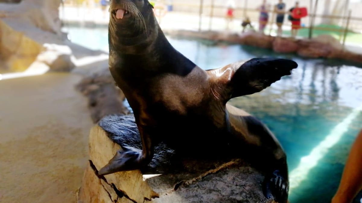 La Radio al Sol 2019, desde Aqua Natura y Terra Natura Benidorm | 15/07/2019