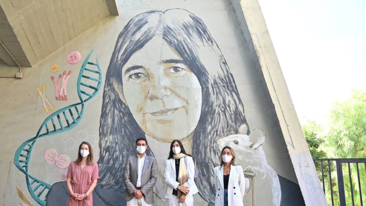 María Blasco: "Hay que establecer medidas efectivas para corregir la desigualdad entre hombres y mujeres"