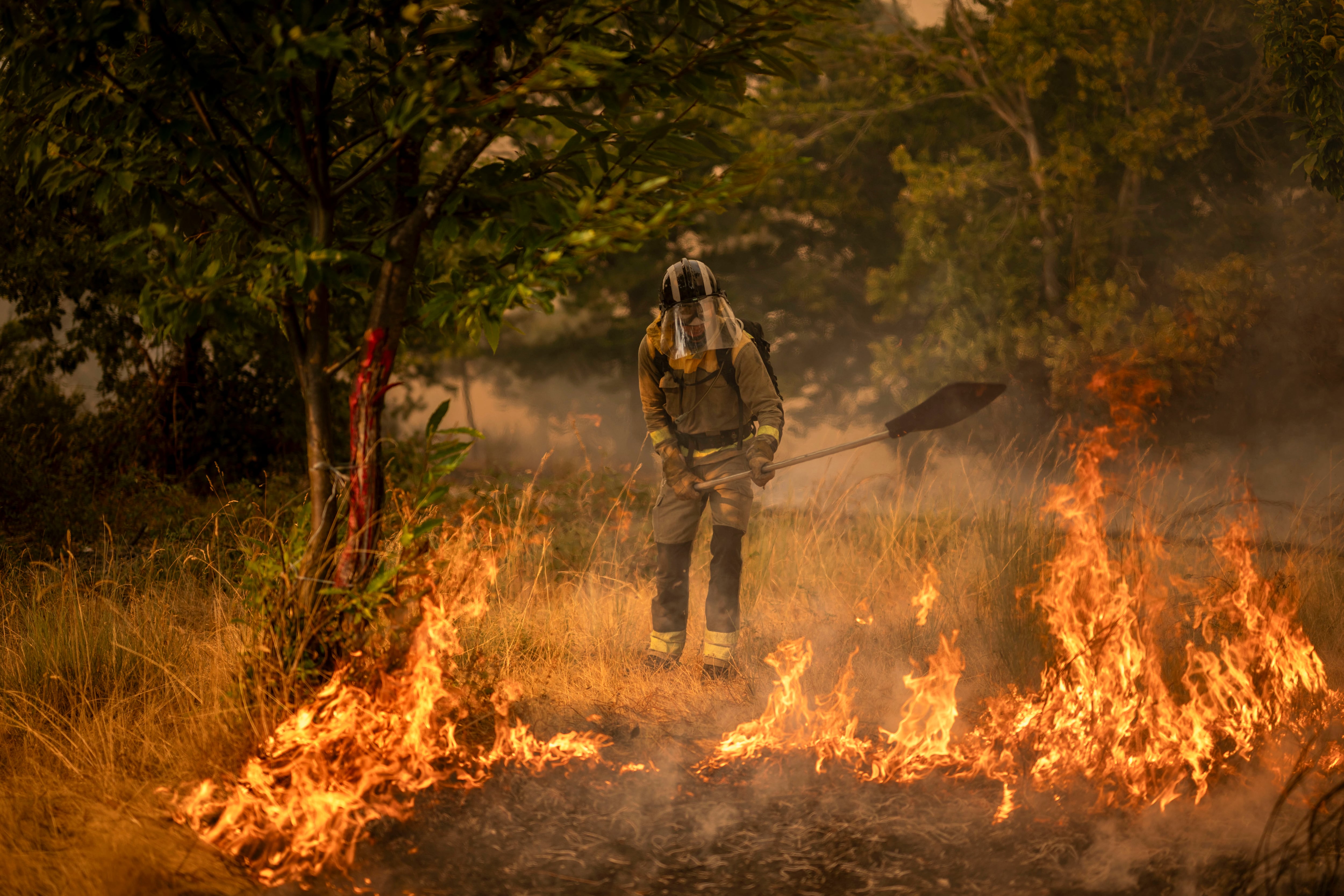 A GUDIÑA (OURENSE), 20/08/2025.- Un bombero forestal realiza labores de extinción en el nuevo incendio declarado este miércoles en A Gudiña (Ourense). EFE/Brais Lorenzo

