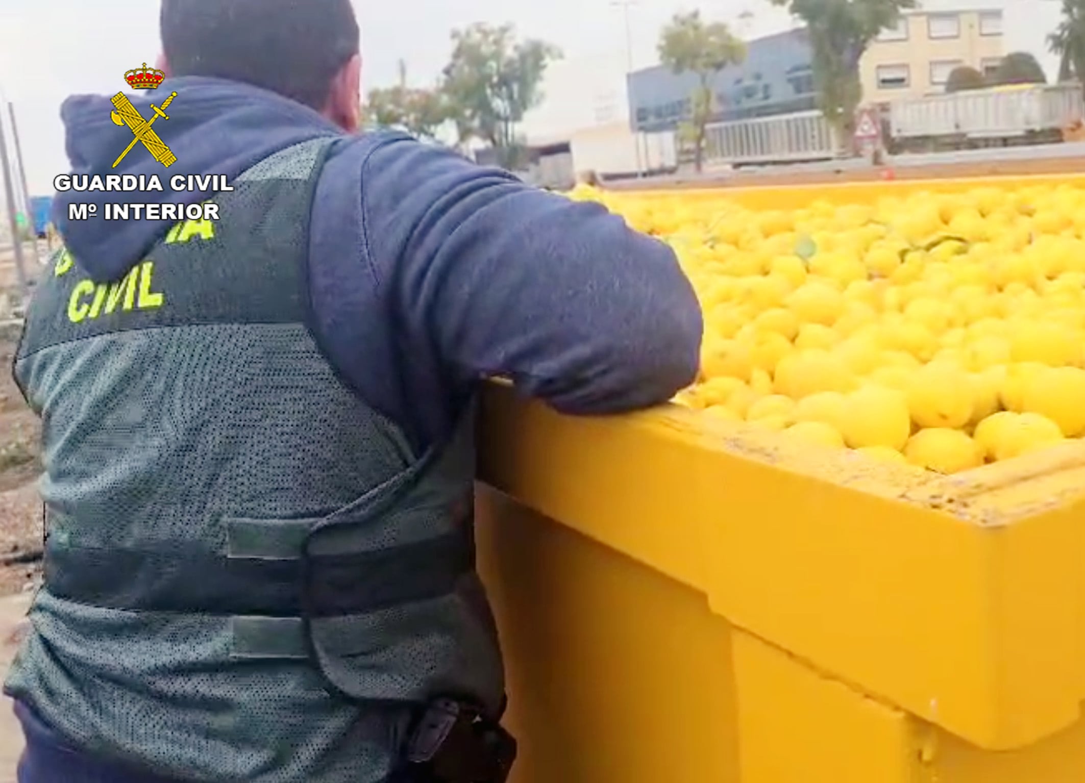 Imagen de la investigación desarrollada por la Guardia Civil