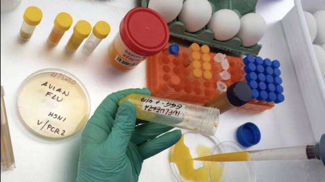 Elisa Pérez, viróloga veterinaria del Centro de Investigación en Sanidad Animal del CSIC sobre los contagios entre humanos