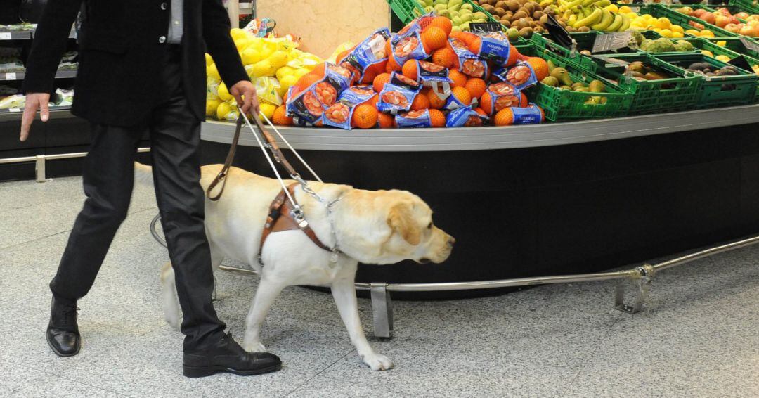 Persona ciega con perro guía en supermercado