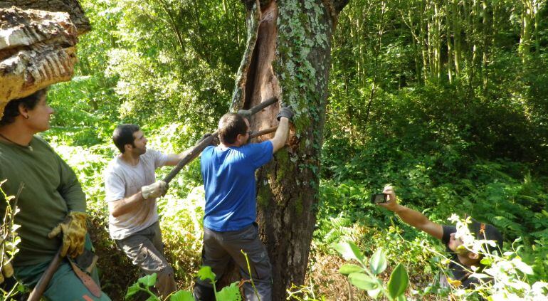 La pela del suro és clau en tot el procés.