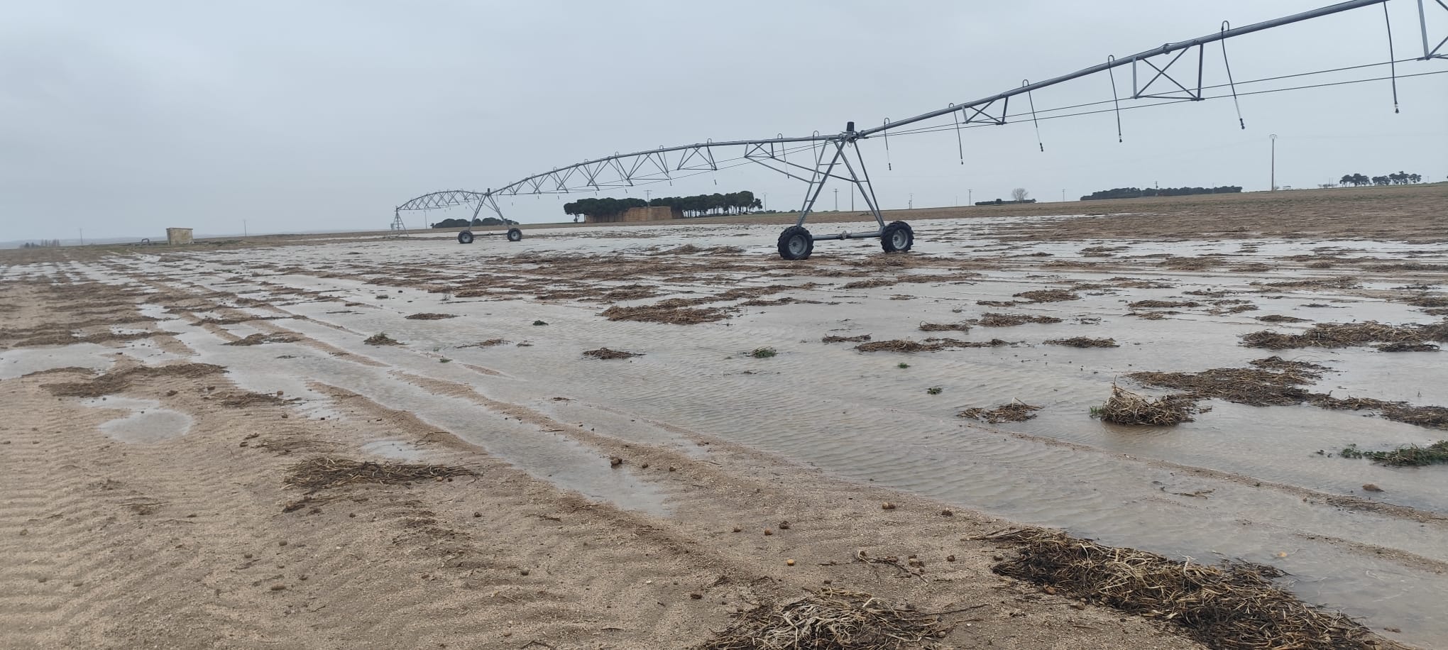 Parcelas agrícolas anegadas