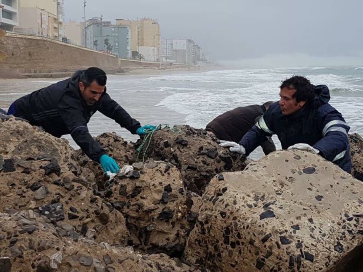 El alcalde ayuda a limpiar la playa de Santa María del Mar