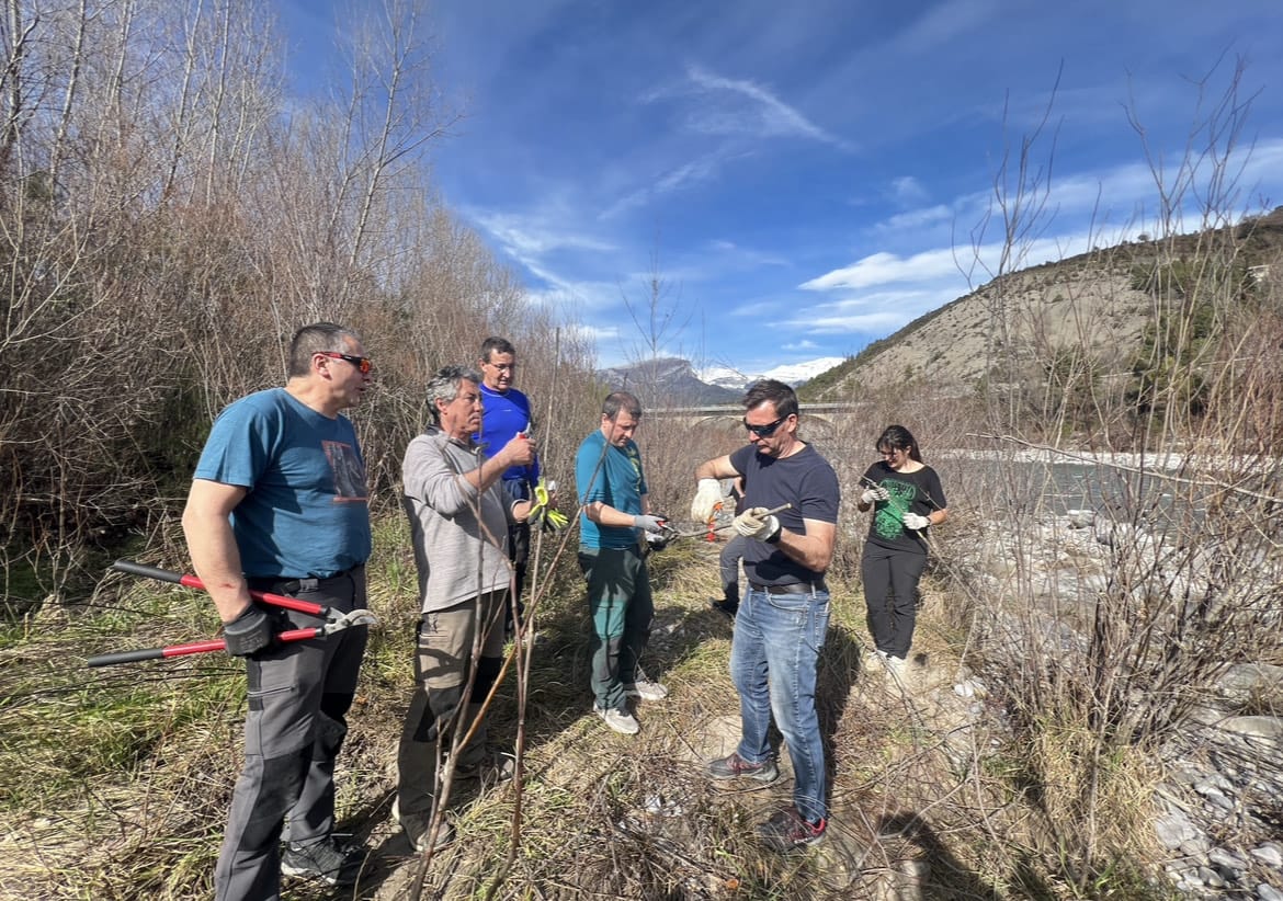 Grupo de nabateros en Laspuña, cortando los verdugos y acopladeras