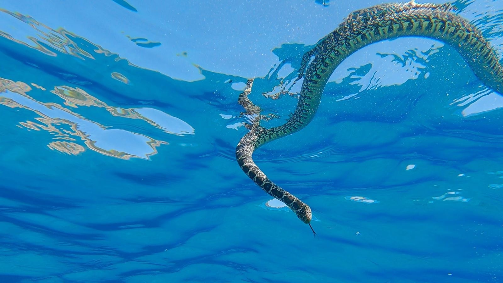 Imagen del documental