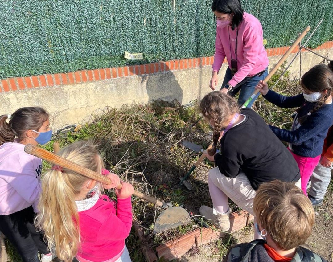 Los alumnos de 2º E.P. desbrozan su bancal bajo la instrucción de la directora del centro