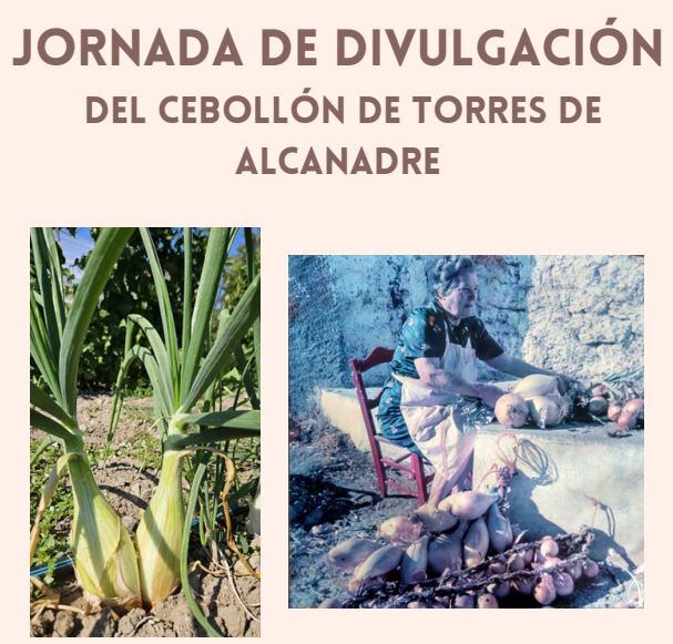 Cartel anunciador de la Jornada del Cebollón de Torres de Alcanadre en el CITA
