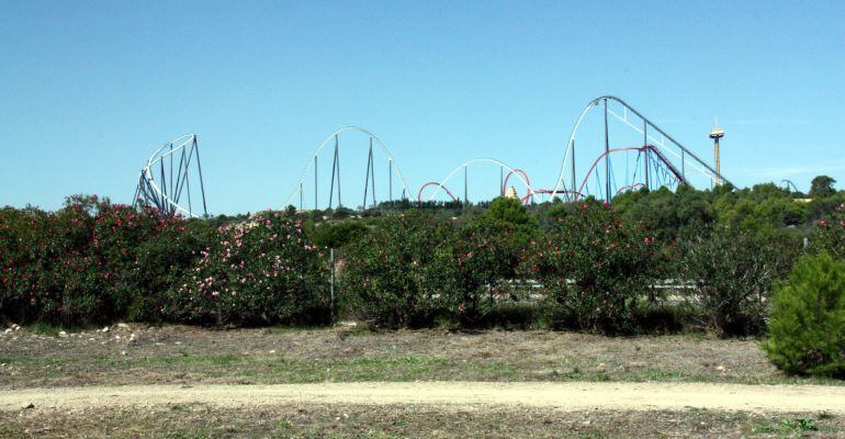 Terrenys on s'ha d'aixecar el projecte turístic.
